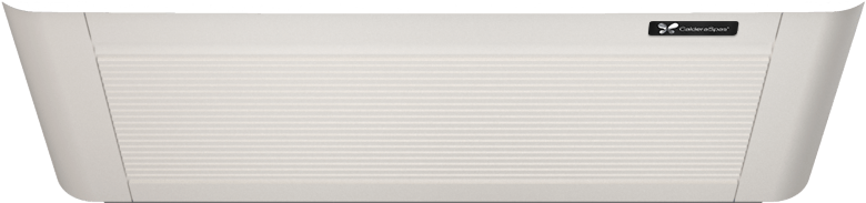 Parchment